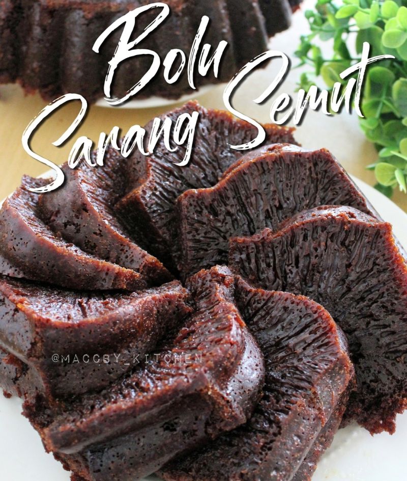 bolu-sarang-semut