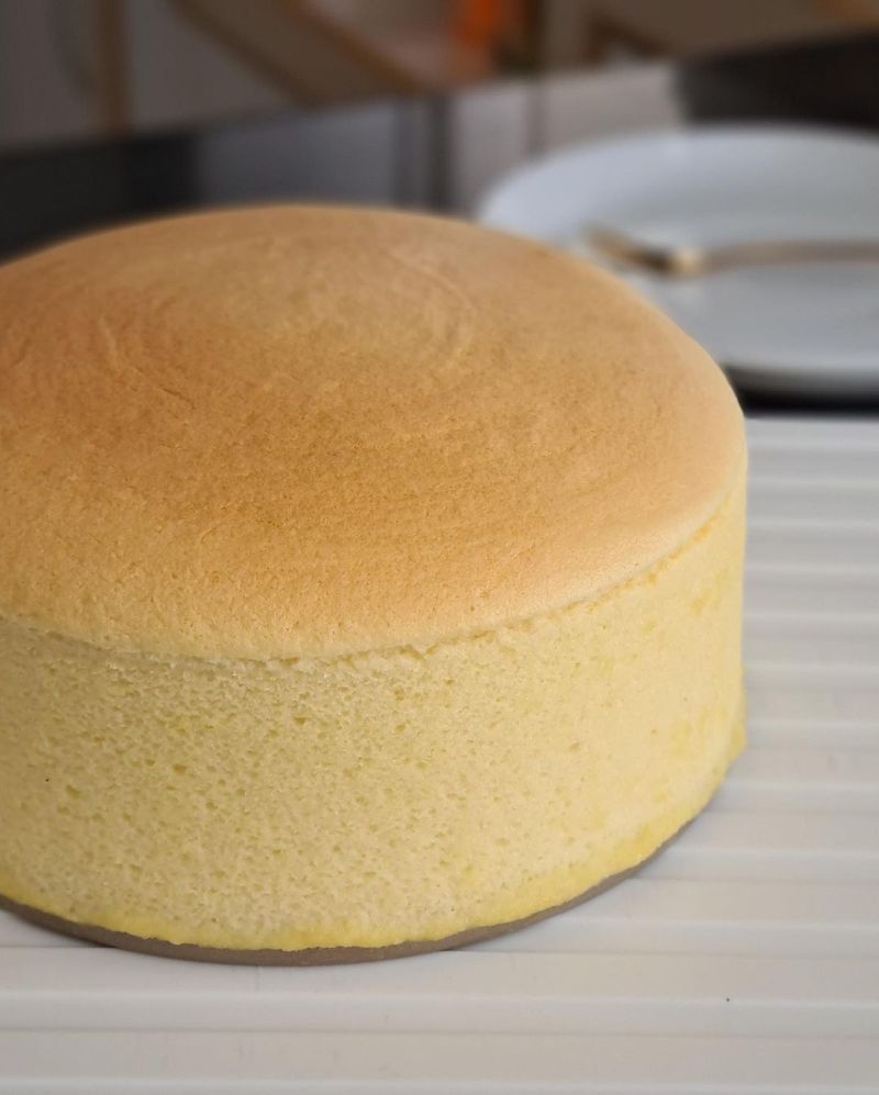cheesecake-cheddar