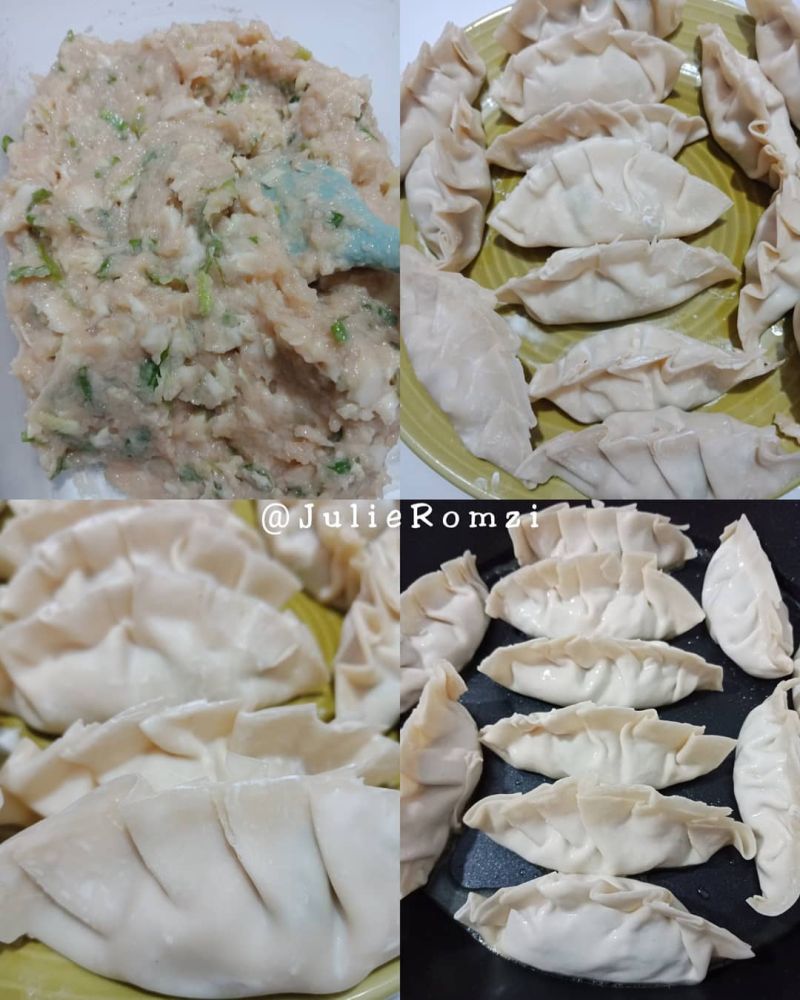 gyoza-ayam