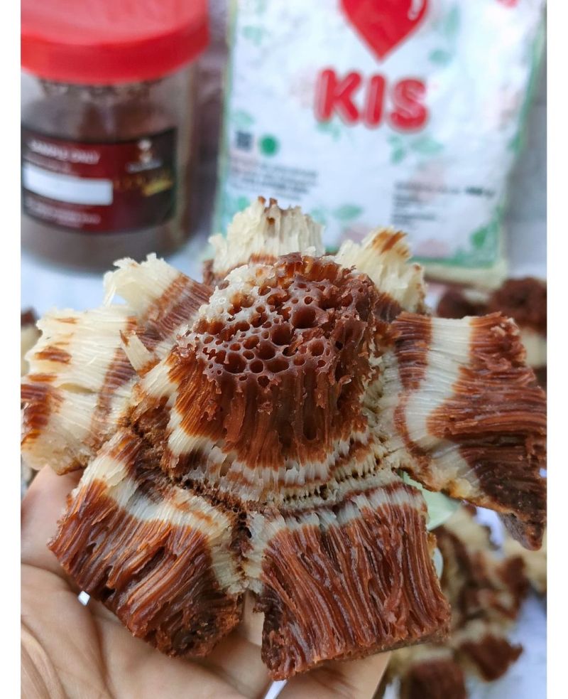 carabikang-coklat-mawar