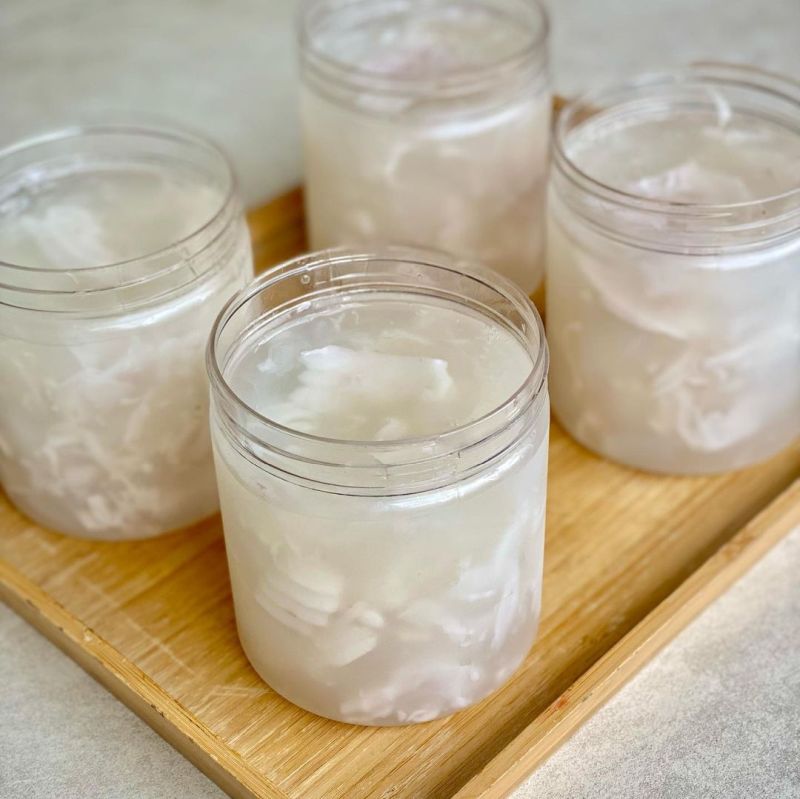 puding-kelapa-muda