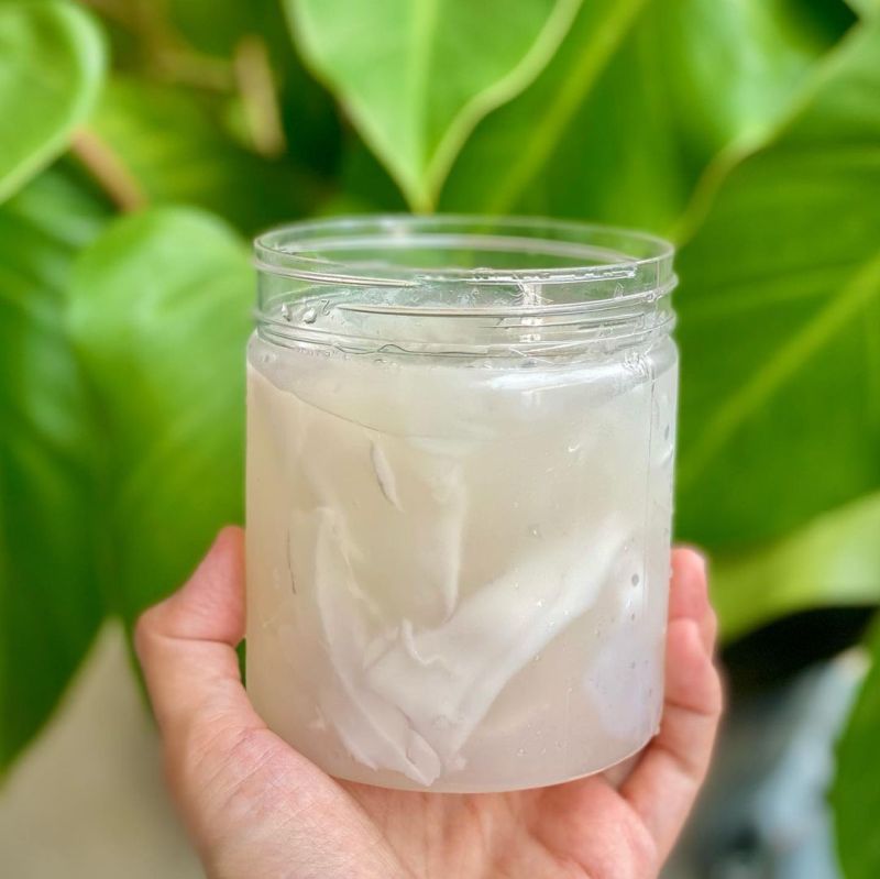 puding-kelapa-muda