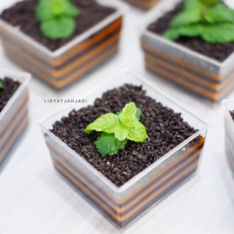 potted-plant-pudding