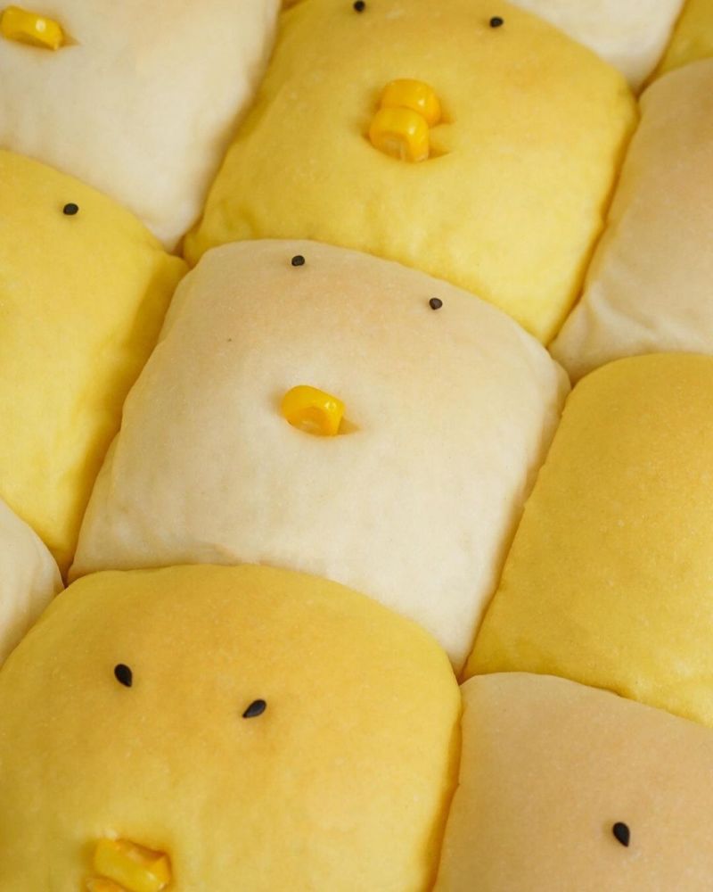 chicken-opor-chigiri