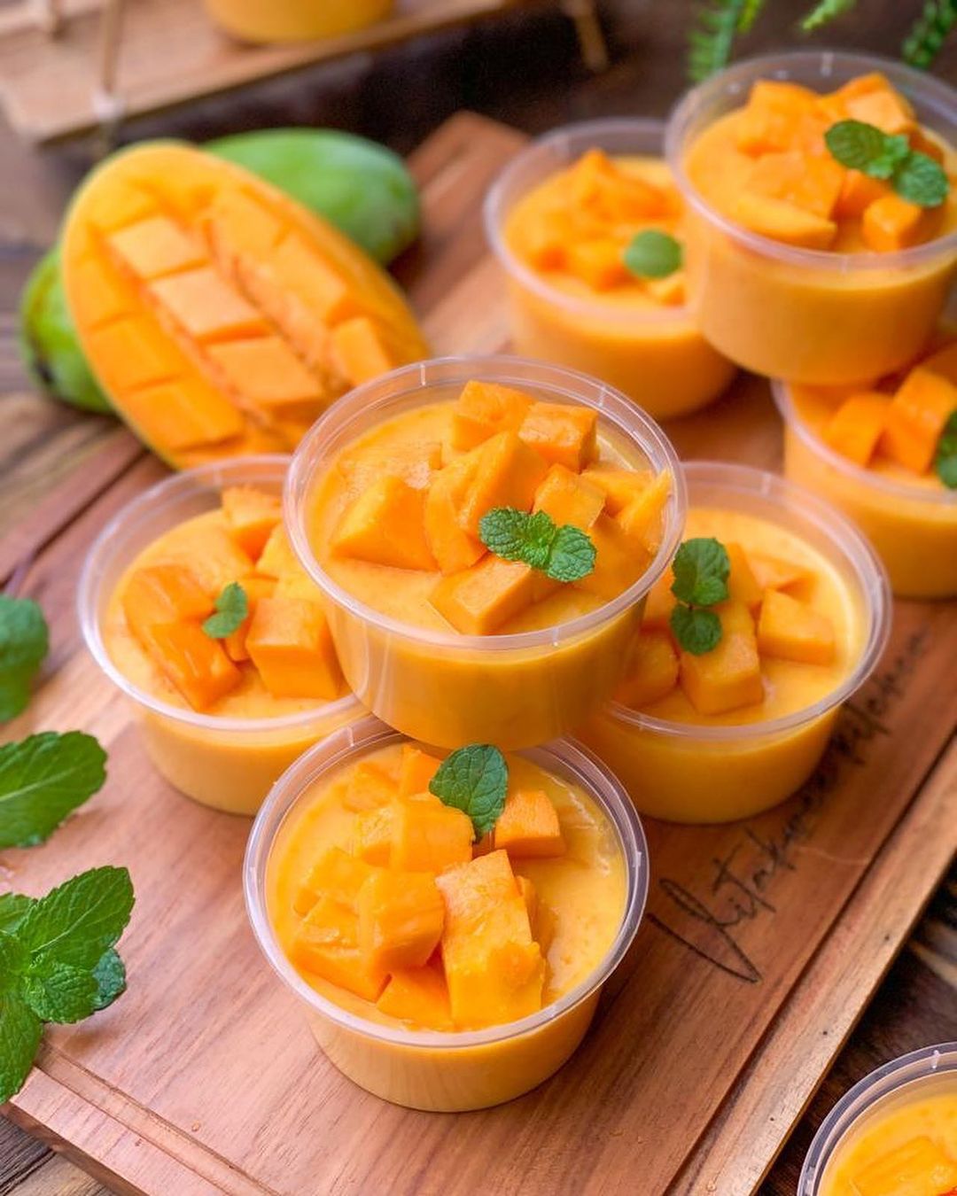 puding-sutra-mangga