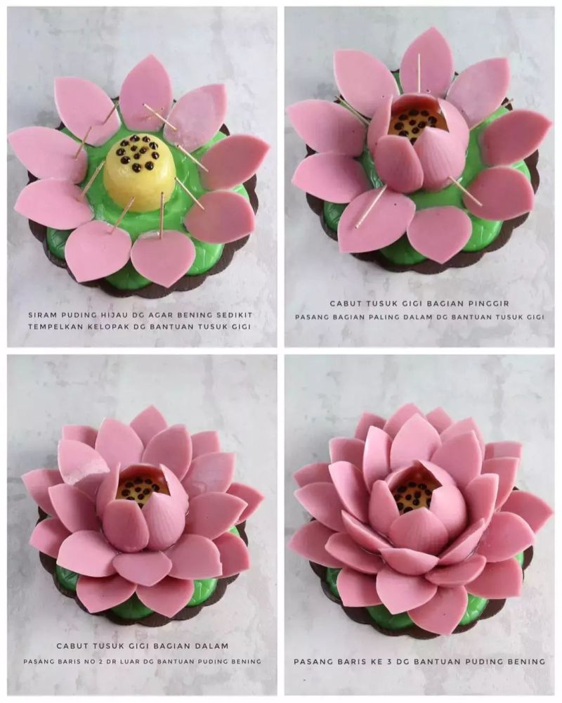 puding-teratai