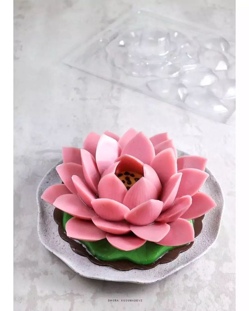 puding-teratai