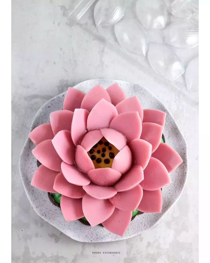 puding-teratai