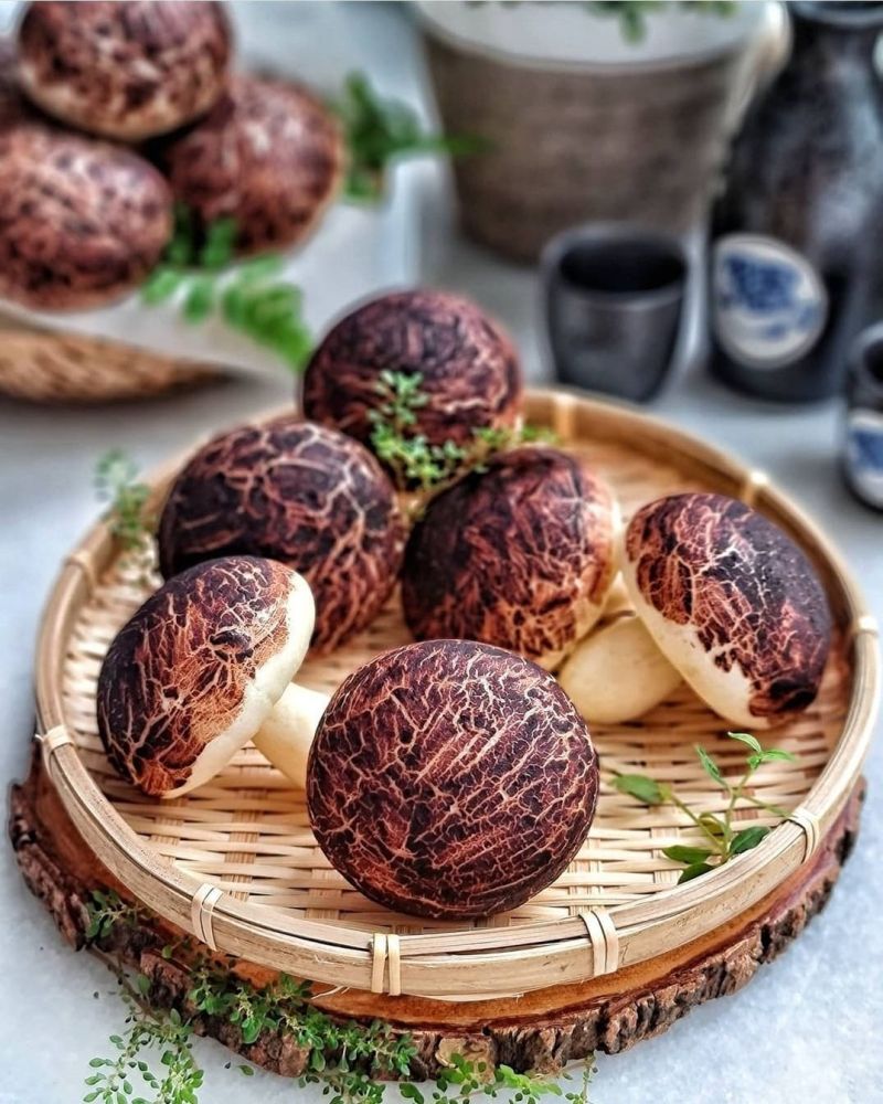 shitake-mushroom-pao