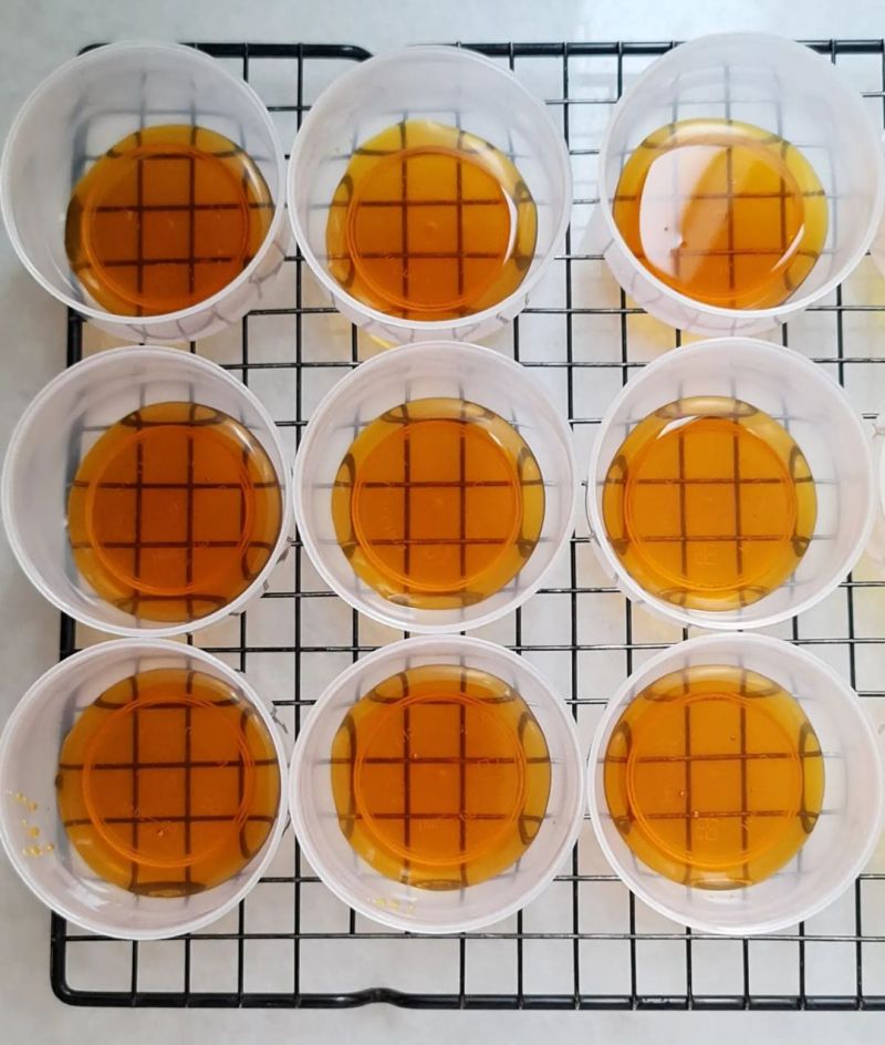 caramel-pudding-custard-cheesecake